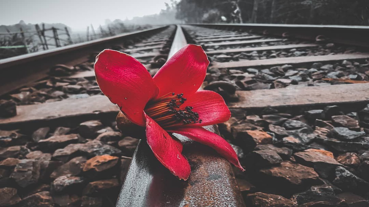 শীতের সকালের রেললাইন..