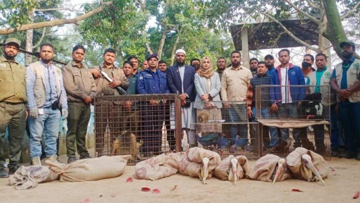 মিনি চিড়িয়াখানায় বিশেষ অভিযান: ৭৪ প্রাণী উদ্ধার