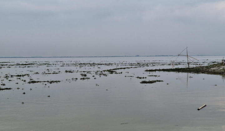 সিরাজগঞ্জে হু হু করে বাড়ছে যমুনার পানি