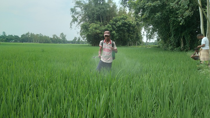 ফুলবাড়ীতে অনাবৃষ্টিতে বিপাকে পড়েছেন কৃষক