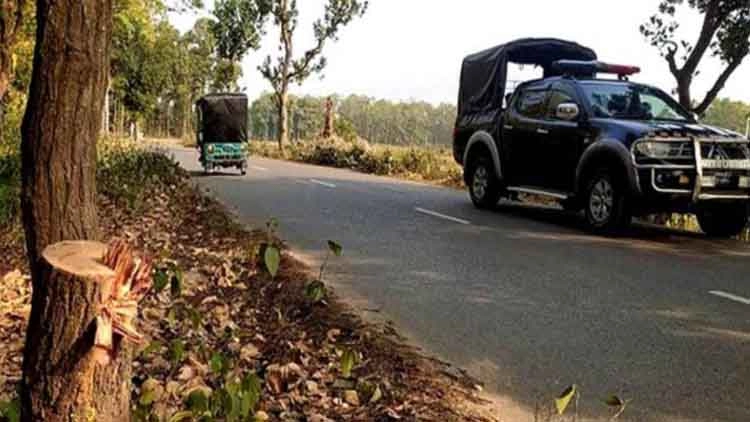 মধ্যরাতে সড়কে গাছ ফেলে শিক্ষা সফরের ৪ বাসে গণডাকাতি