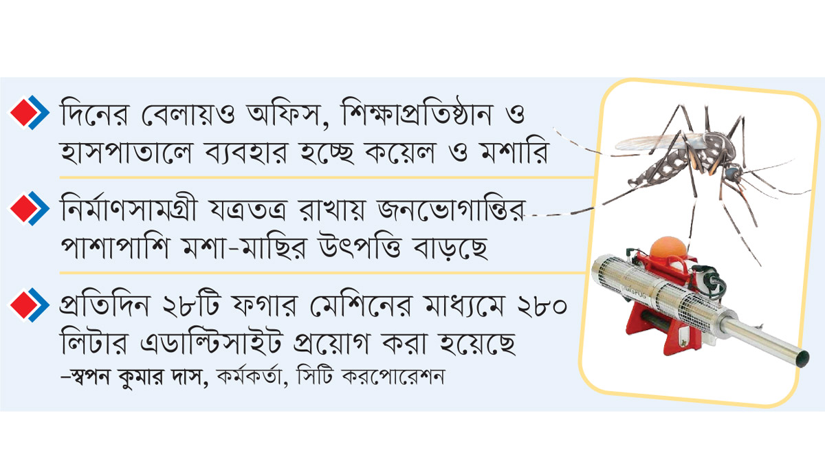 মশক নিধনে কাজে আসেনি বিসিসির ‘অলআউট কর্মসূচি’!