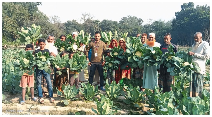 মেহেরপুর, রাজবাড়ীর পর নওগাঁর কৃষকের পাশে ‘স্বপ্ন’