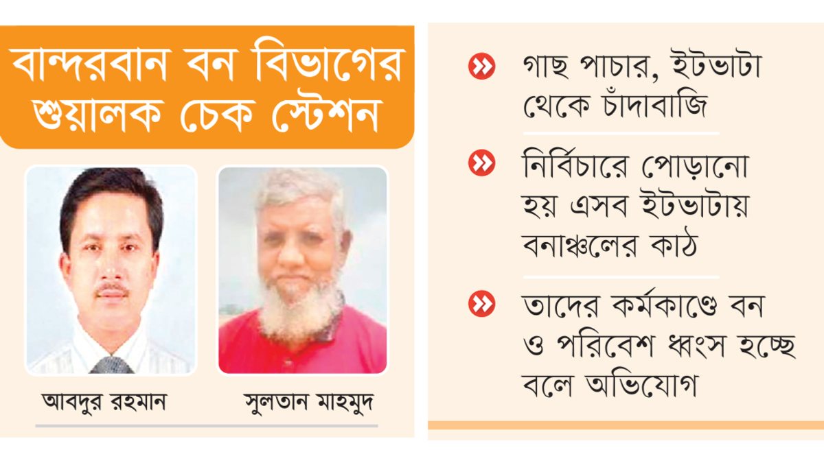 বান্দরবান বন বিভাগে ডিএফও রহমান-রেঞ্জার টিটু সিন্ডিকেট বেপরোয়া