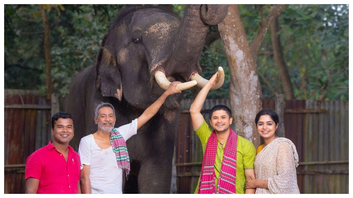 হাতির গল্পে নিলয় আলমগীর