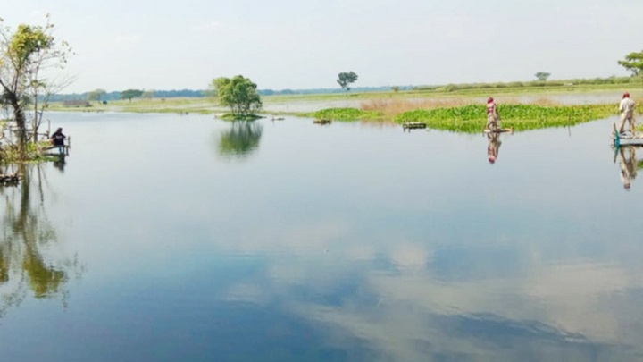 জলাবদ্ধতায় শার্শার ৫০০ একর জমি অনাবাদি থাকার আশঙ্কা