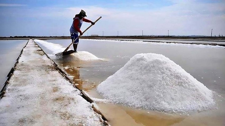 কক্সবাজারে লবণ উৎপাদন শুরু