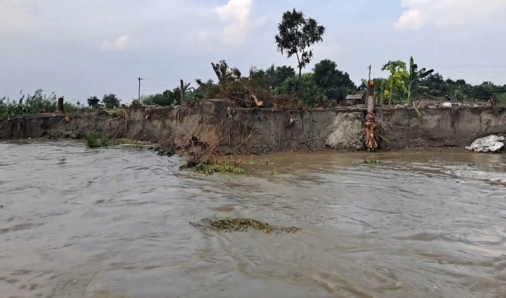 অবৈধভাবে বালু উত্তোলনের ফলে পদ্মায় তীব্র ভাঙন