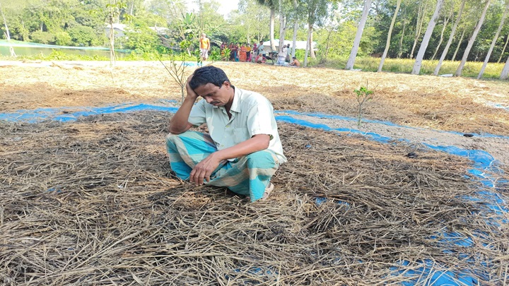 দুর্বৃত্তের আগুনে কৃষকের ২ বিঘা জমির ধান পুড়ে ছাই