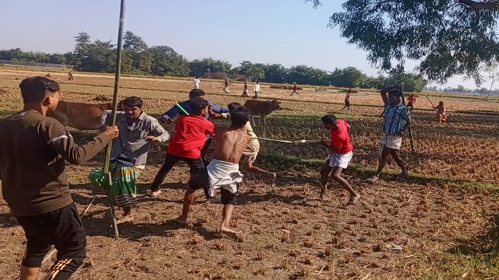 ধান কাটা নিয়ে সংঘর্ষে ইউপি সদস্যসহ আহত ১১