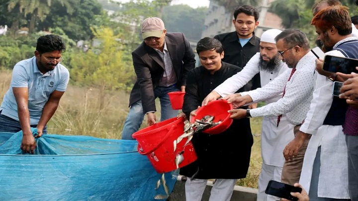 বঙ্গবন্ধু হল পুকুরে মাছের পোনা অবমুক্ত করলেন ইবি উপাচার্য