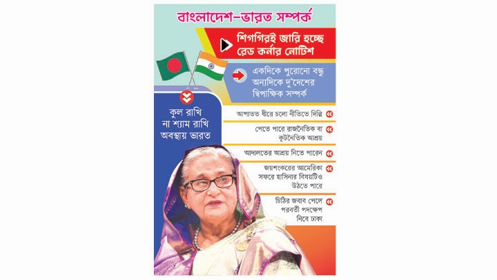 গলার কাঁটা শেখ হাসিনা!