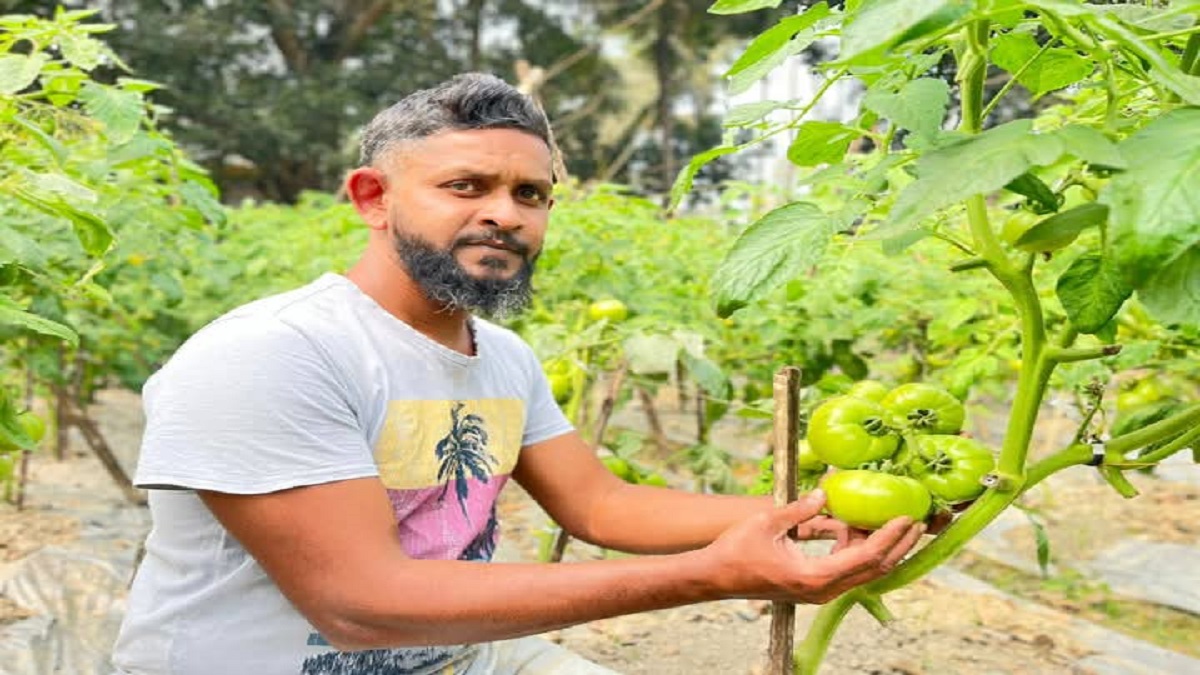 সাতক্ষীরায় পলিনেট হাউজে চারা উৎপাদন ও সবজি চাষে সফল কৃষক