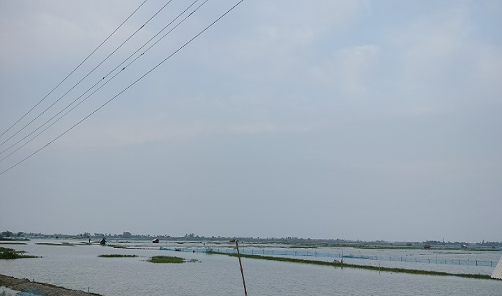 পাইকগাছায় অতিবৃষ্টিতে ১২ কোটি টাকার ক্ষতি