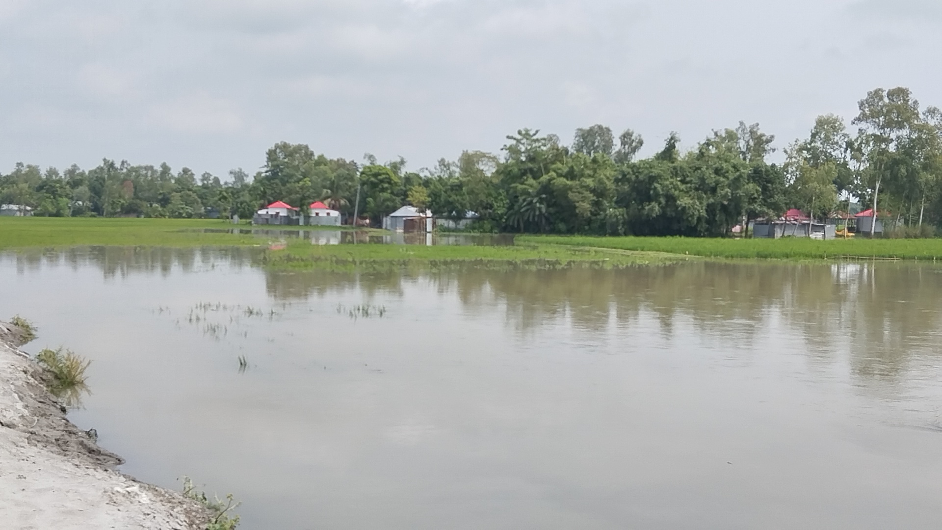 তিস্তার তীরবর্তী নিম্নাঞ্চলে বন্যা, দুর্ভোগ চরমে