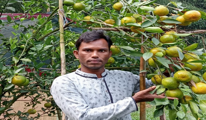 ইউটিউব দেখে কমলা চাষে সফল প্রবাস ফেরত যুবক