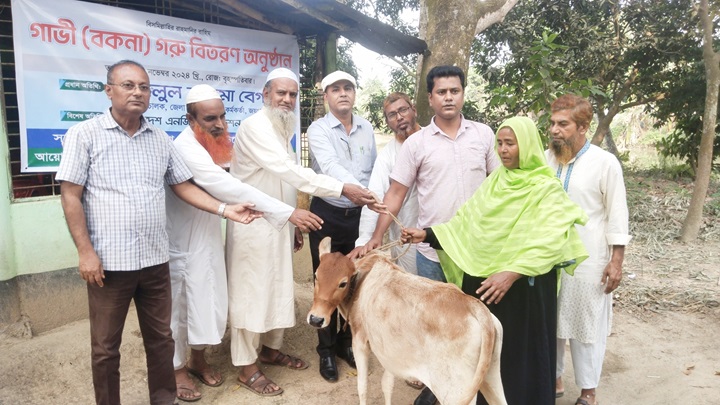 পাঁচবিবিতে দুঃস্থ মহিলাদের গাভী বিতরণ