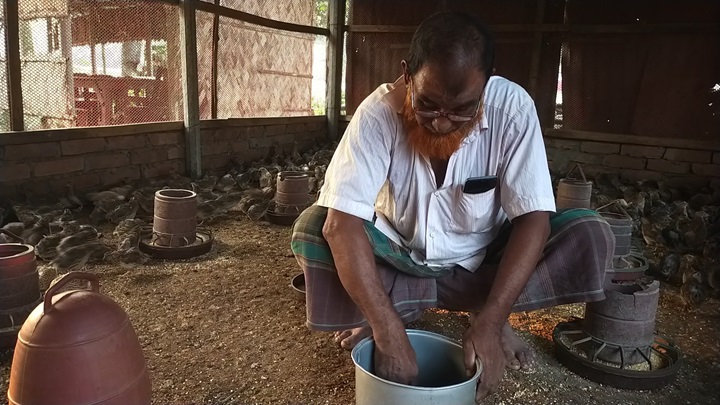 কোয়েল পাখি পালনে স্বাবলম্বী মেহেরপুরের নাসির