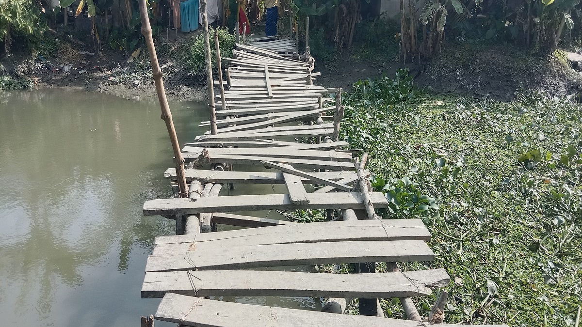 নড়বড়ে কাঠের ব্রিজে ৩ গ্রামের মানুষের ঝুঁকিপূর্ণ পারাপার