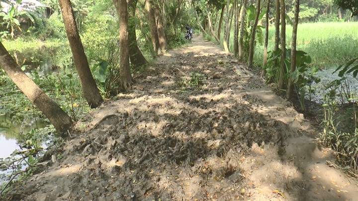 মাদারীপুরে আড়াই হাজার কিলোমিটার গ্রামীণ সড়কের বেহাল দশা