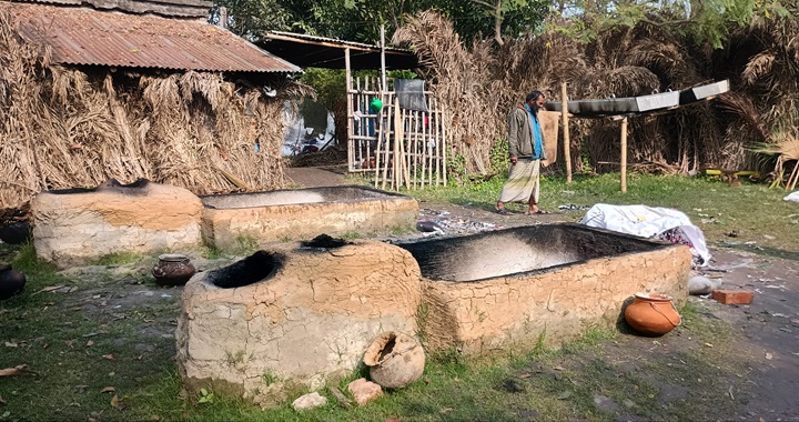 নওগাঁ সমবায় অফিস চত্ত্বরের খেজুর গাছের গুড় কর্মকর্তাদের পেটে