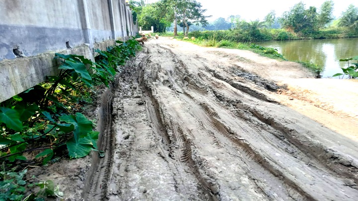 ভোগান্তির আরেক নাম আলিয়ারপুর-প্রতাপ চরিঙ্গাপাড়া সড়ক