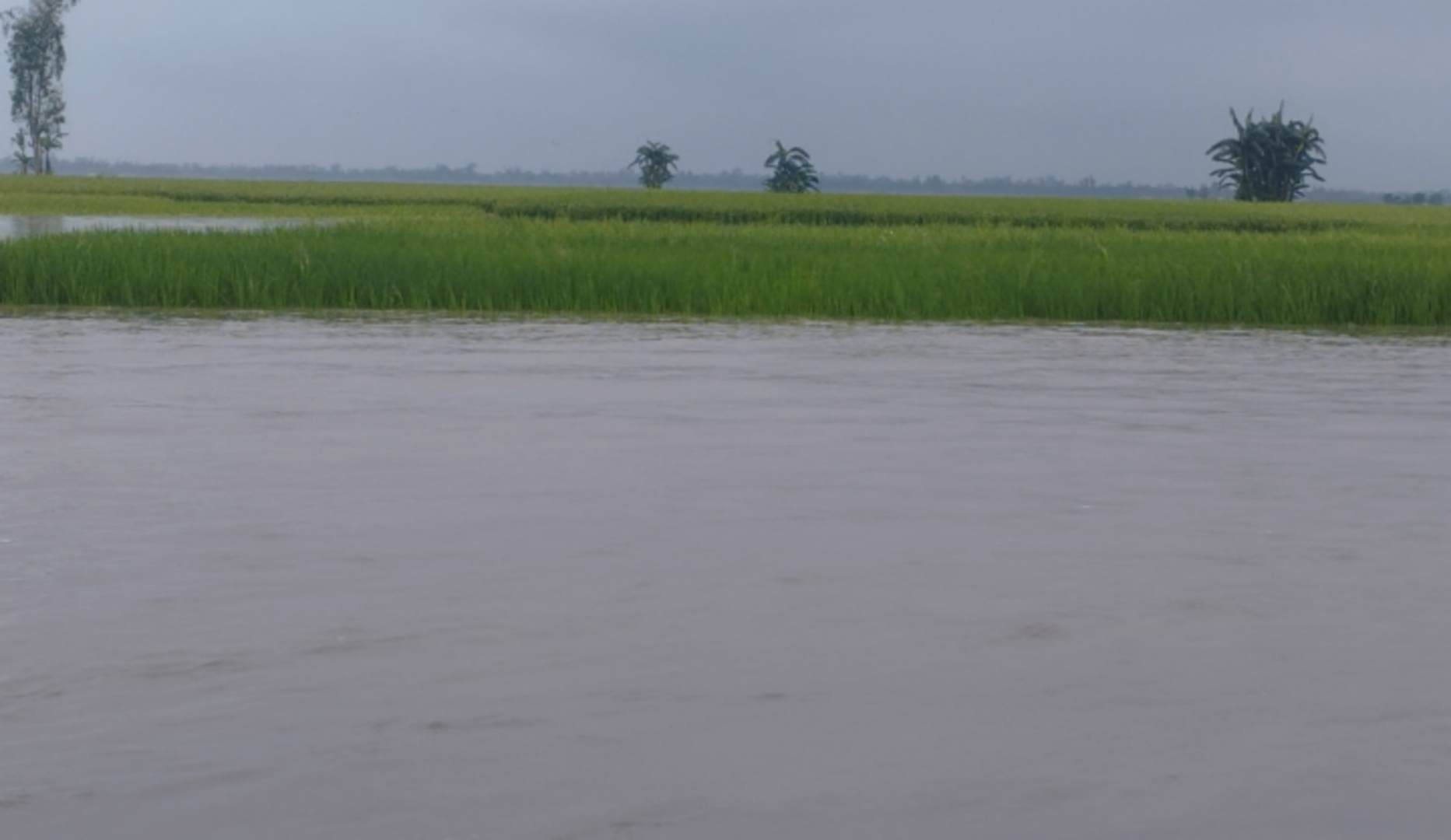 তিস্তার পানি বিপৎসীমার ৩১ সেন্টিমিটার ওপরে