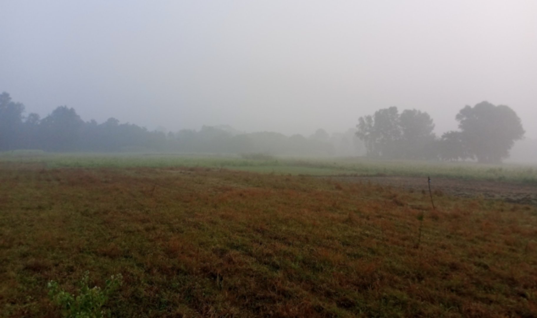 হরিরামপুরে ঘন কুয়াশায় শীতের আগমনী বার্তা