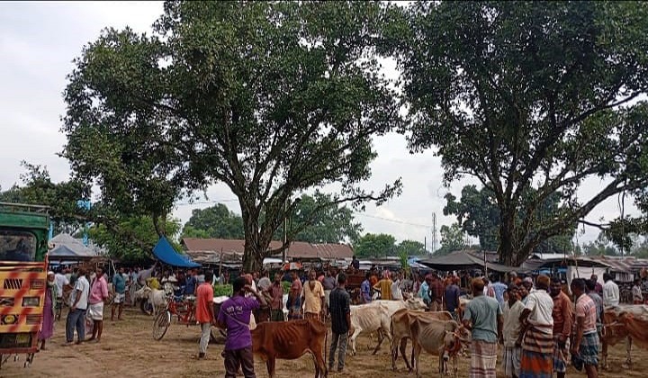 হাটে অতিরিক্ত টোল আদায় প্রশাসন নির্বিকার