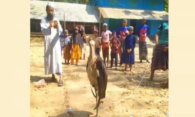 গুলি থেকে রক্ষা পাওয়া পাখিটি কেটে মাংস ভাগ, উল্লাস