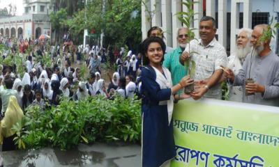 প্রকৃতি ও জীবন ক্লাবের উদ্যোগে দুই হাজার চারা বিতরণ