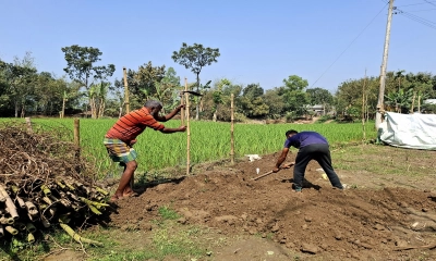 শেরপুরে দাফনের দুই মাস পর তহুরের মরদেহ উত্তোলন