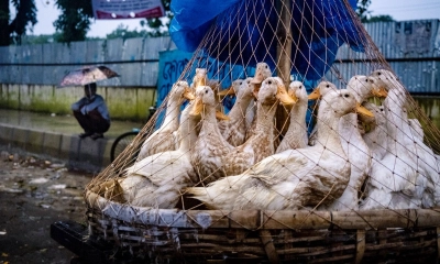 গুঁড়ি গুঁড়ি বৃষ্টিতে ভিজল রাজধানী