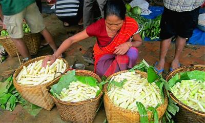 বাঁশ কোঁড়ল আহরণে রাঙ্গুনিয়ায় বিলুপ্তের পথে বাঁশ শিল্প