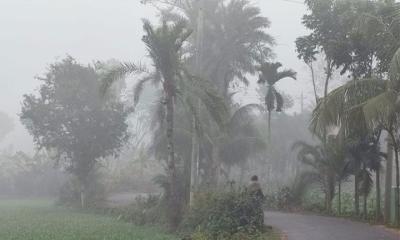 আরও কমবে তাপমাত্রা, দেখা মিলতে পারে ঘন কুয়াশার