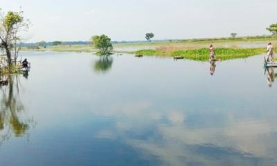 জলাবদ্ধতায় শার্শার ৫০০ একর জমি আনাবাদি থাকার আশঙ্কা