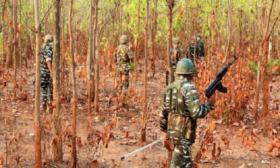 ভারতে নিরাপত্তা বাহিনী ও মাওবাদীদের সংঘর্ষে নিহত ১৯