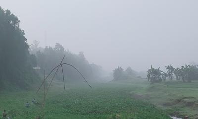 ঘন কুয়াশার চাদরে ঢেকে গেছে নান্দাইলের চরাঞ্চল