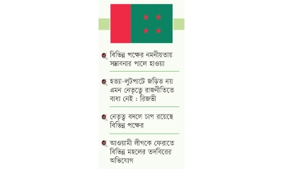 নির্বাচনে অংশ নিতে পারে আওয়ামী লীগ!