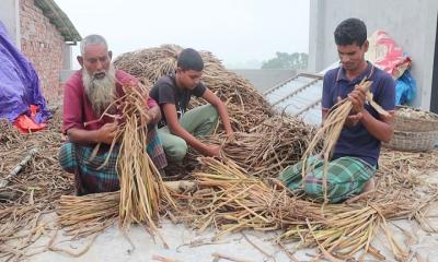 নওগাঁয় কচুরিপানার আয়ে সংসারে ফিরছে সচ্ছলতা