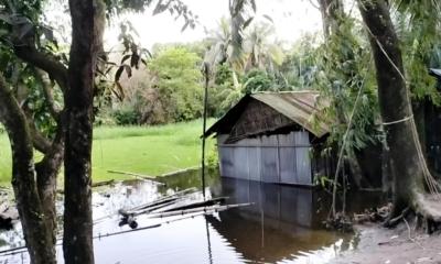 লক্ষ্মীপুরে বন্যায় সাড়ে ১৮ হাজার বসতঘর ক্ষতিগ্রস্ত