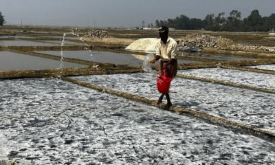 বিসিকের বিশ্ব আয়োডিন দিবস উদযাপন