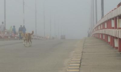 ঘন কুয়াশার চাদরে ঢাকা কুড়িগ্রাম