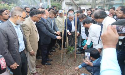 জিয়াউর রহমানের জন্মবার্ষিকী উপলক্ষে শেকৃবি’তে বৃক্ষরোপণ