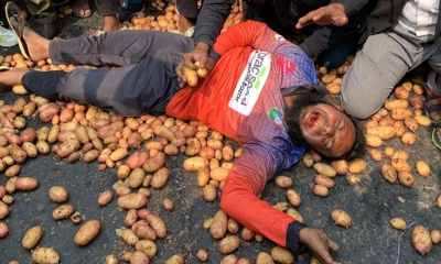 সড়কে আলু ফেলে শুয়ে পড়লেন কৃষকরা