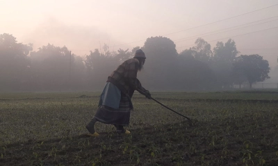 পঞ্চগড়ে তাপমাত্রা ৯ ডিগ্রির ঘরে