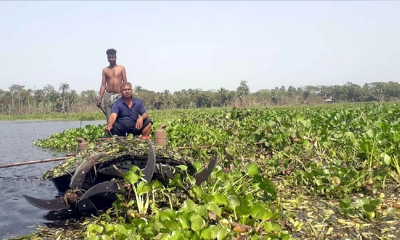 কচুরিপানা কাটার মেশিন বানিয়ে সাড়া ফেললেন প্রদীপ