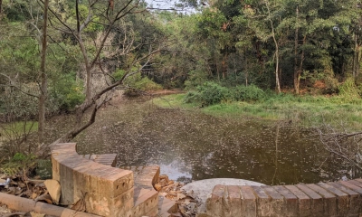 সংস্কারের অভাবে সৌন্দর্য হারাচ্ছে চুয়েট লেক