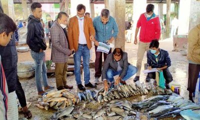 গবেষণায় সফল, সন্তোষ শেকৃবি-রাবি মৎস্যবিজ্ঞানীরা