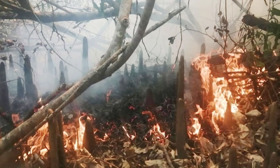 আগুন লেগেছে আজ, নেভানো হবে কাল!